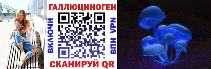 Галлюциногенные грибы MAGIC MUSHROOMS  наркота  Мичуринск 